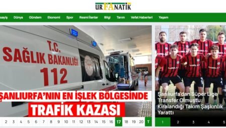 Aslan Burcunun Yükseleni Nedir