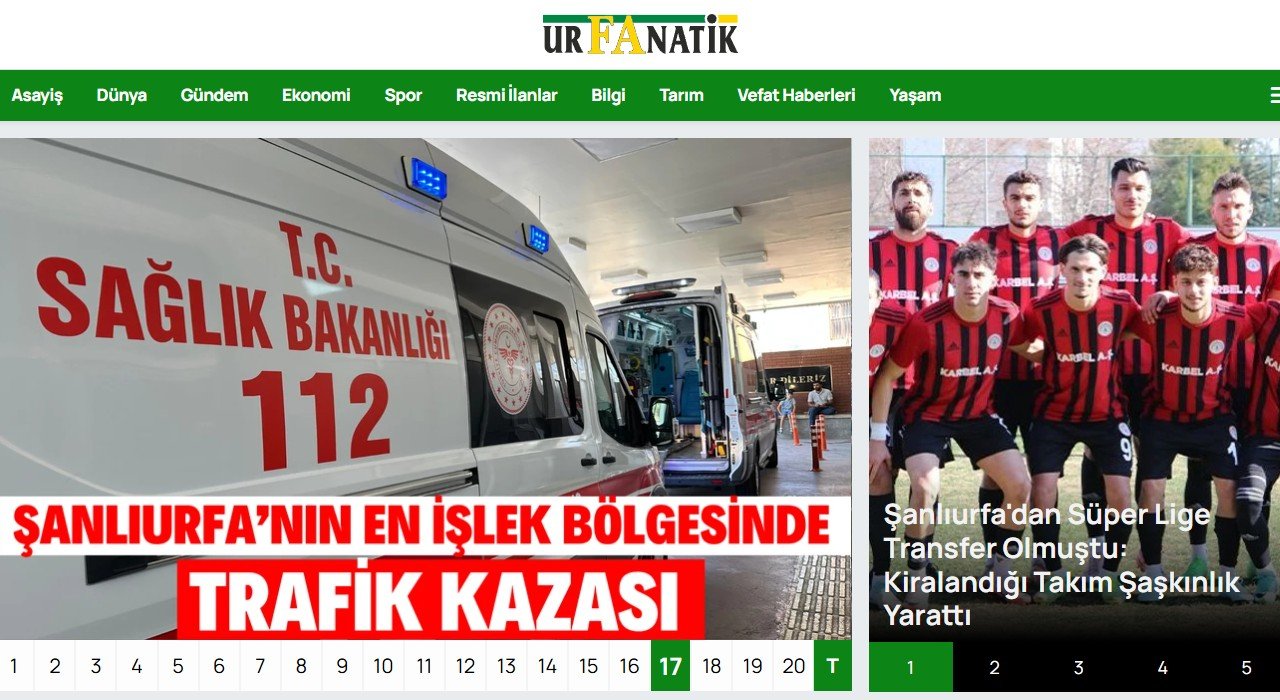 Aslan Burcunun Yükseleni Nedir